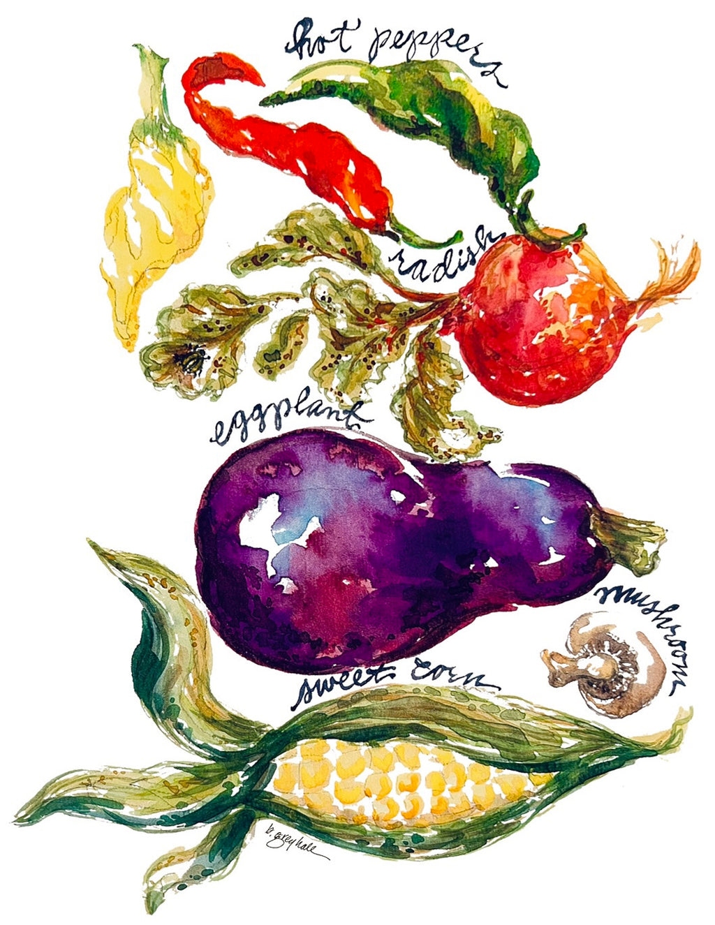 Vegetable Garden Notecards