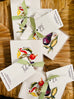 Vegetable Garden Notecards