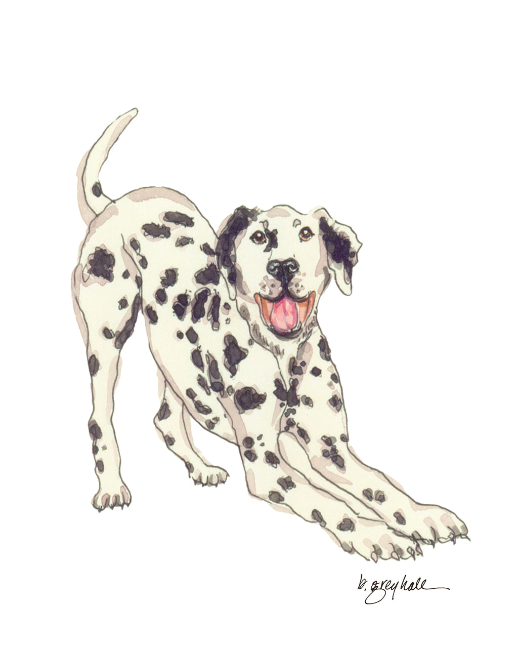 Dalmatian - Art Print