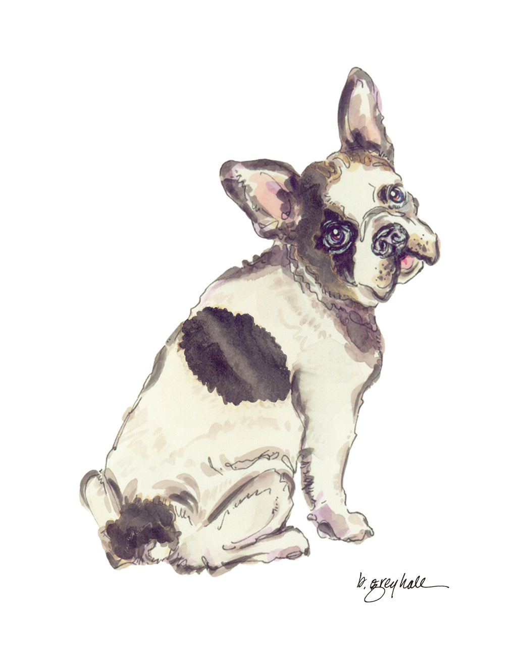French Bull Dog - Art Print