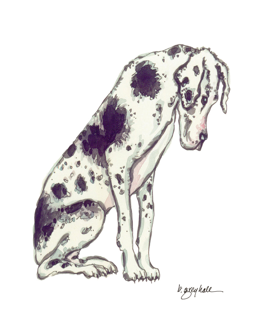 Great Dane - Art Print
