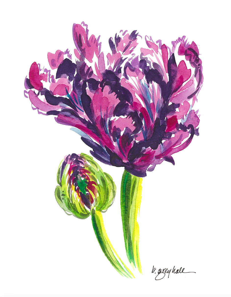 Parrot Tulip Flower – Watercolor Art Print