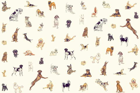 Dog Fabric ~ on-demand & by-the-yard
