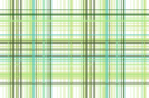 Plaid Fabric in Green