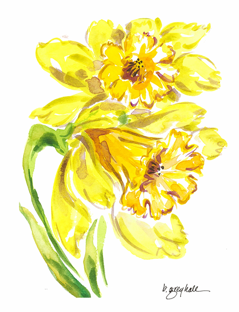 Daffodil Flower – Watercolor Art Print