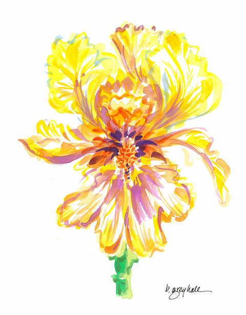 Iris Flower – Watercolor Art Print