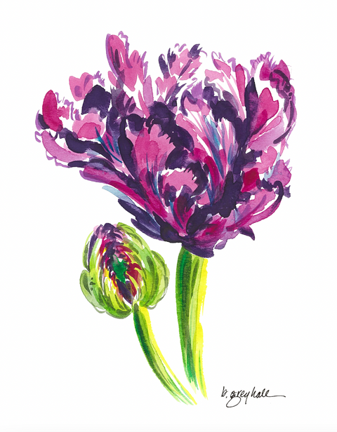 Parrot Tulip Flower – Watercolor Art Print
